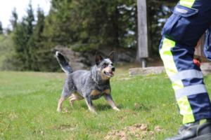 2018 Ausbildungswoche Arber